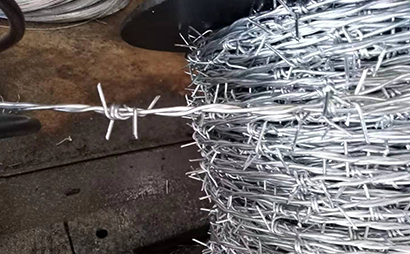 雙股熱鍍鋅刺繩(鐵蒺藜) 雙股熱鍍鋅刺繩(鐵蒺藜)