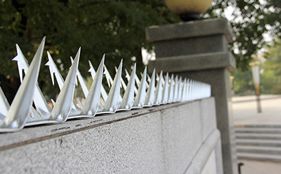 墻頭防爬刺釘 墻頭防爬刺釘