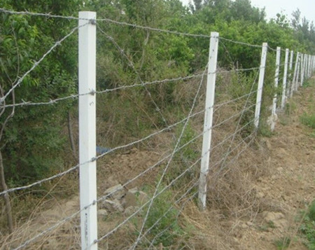 熱鍍鋅刺繩.jpg 熱鍍鋅刺繩.jpg