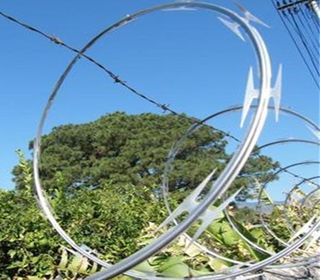 刀片刺網(wǎng).jpg 刀片刺網(wǎng).jpg