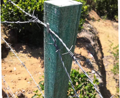 刺繩圍欄.jpg 刺繩圍欄.jpg