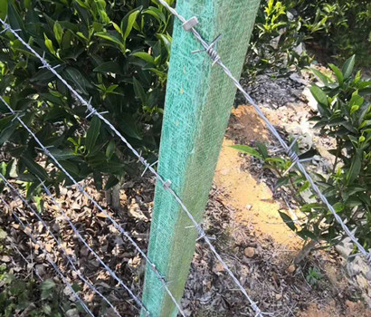 刺鐵絲.jpg 刺鐵絲.jpg