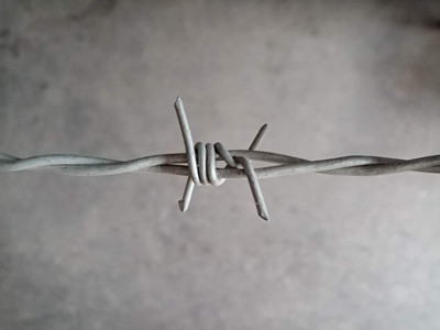 刺鐵絲.jpg 刺鐵絲.jpg