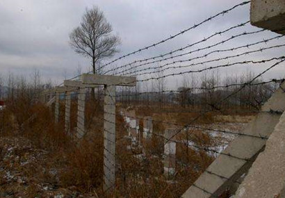 刺鐵絲.jpg 刺鐵絲.jpg