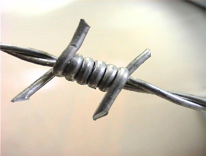 刺鋼絲.jpg 刺鋼絲.jpg