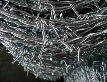 帶刺鋼絲網.jpg 帶刺鋼絲網.jpg