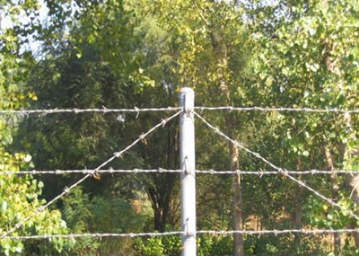 刺鐵絲網.jpg 刺鐵絲網.jpg