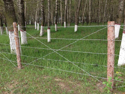 刺鐵絲網.jpg 刺鐵絲網.jpg