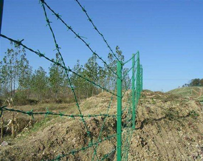 包塑刺鐵絲.jpg 包塑刺鐵絲.jpg