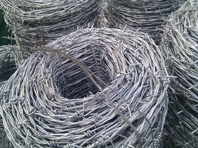 刺鐵絲網.jpg 刺鐵絲網.jpg